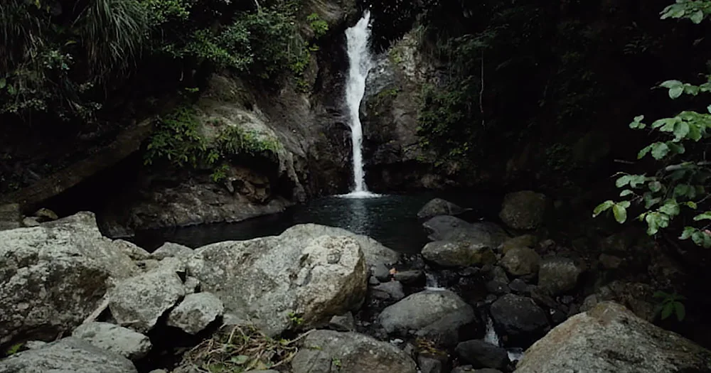 El Yunque National Forest landscape filmed from above